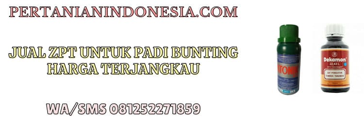jual,murah,harga murah,jual zpt untuk padi bunting,terjangkau
